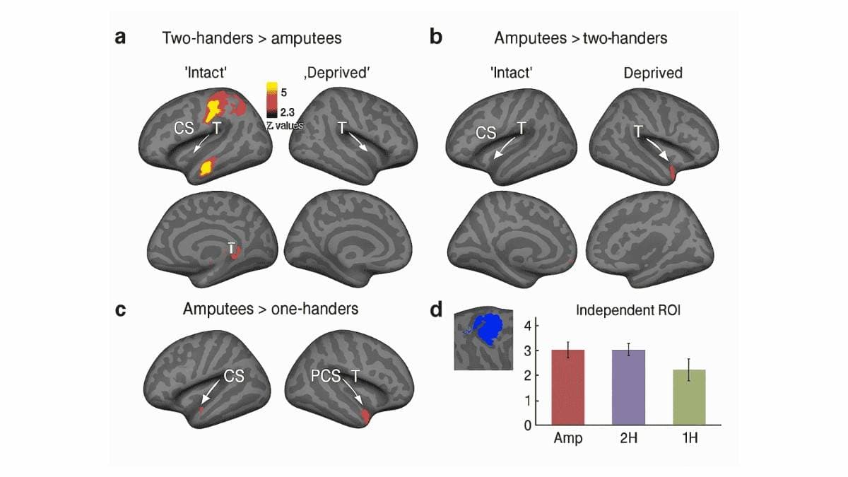 🟢 The power of switching hands