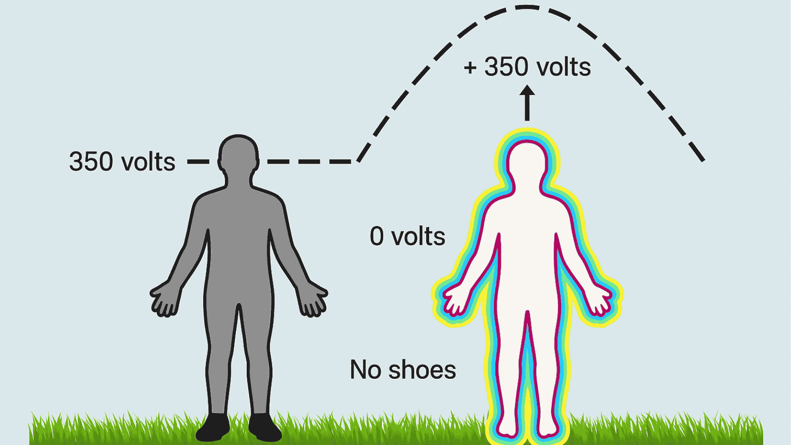 🟢 The grounded path to wellness